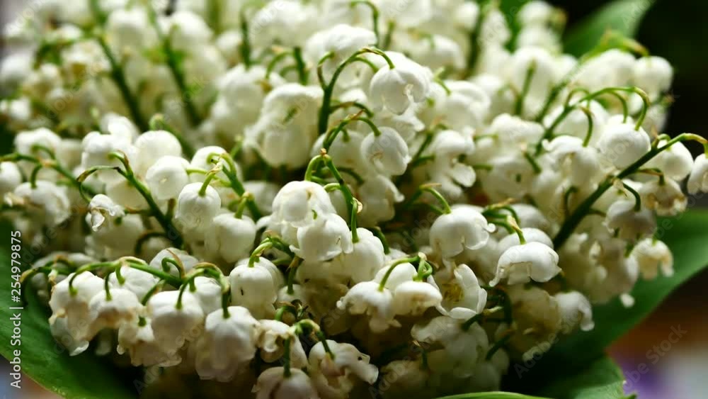 White Lily of the valley bouquet White Lily of the valley bouquet