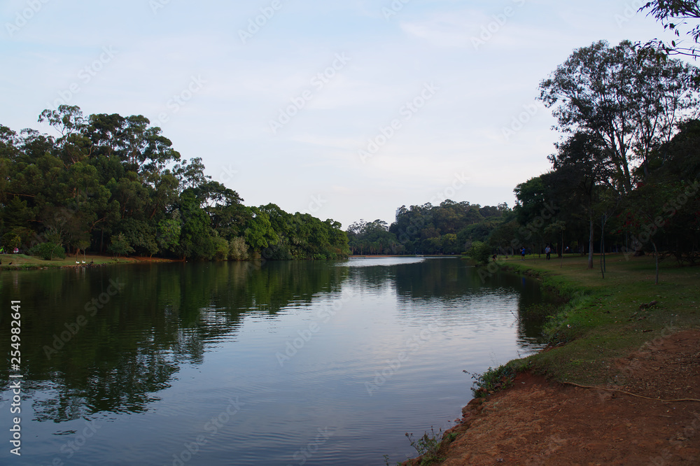 Fototapeta premium Ibirapuera Park in Sao Paulo, Brazil. Beautiful park in the middle of the biggest Brazilian city. Nature showing its beauty amidst great buildings.