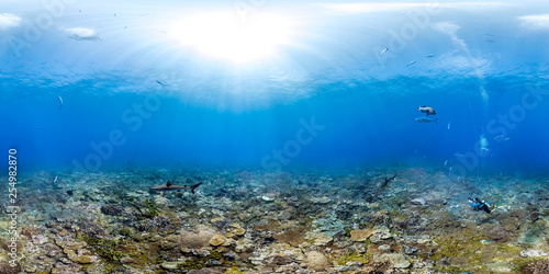 Photography 360 of diver with sharks