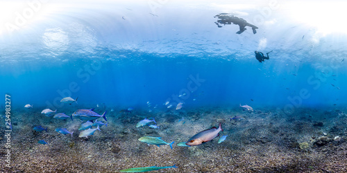 360 of Trevally over reef