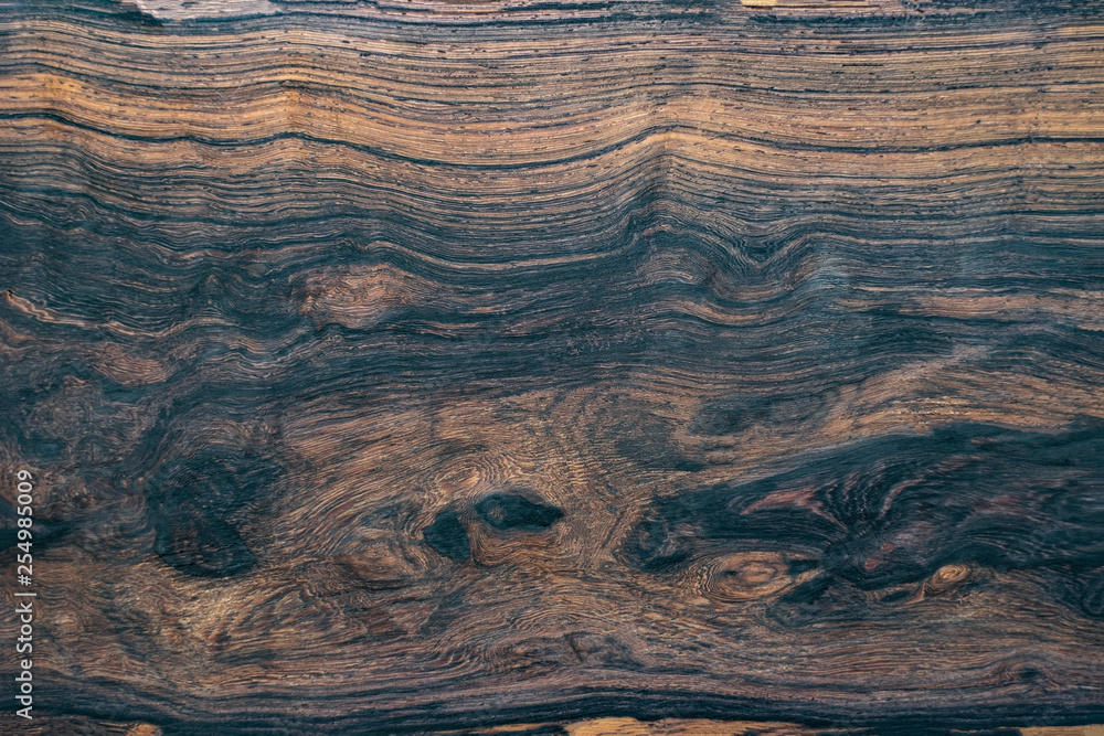 Naklejka premium Nature black wood