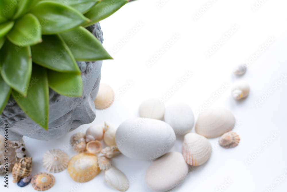 Spa and wellness still life objects Spa and wellness still life objects