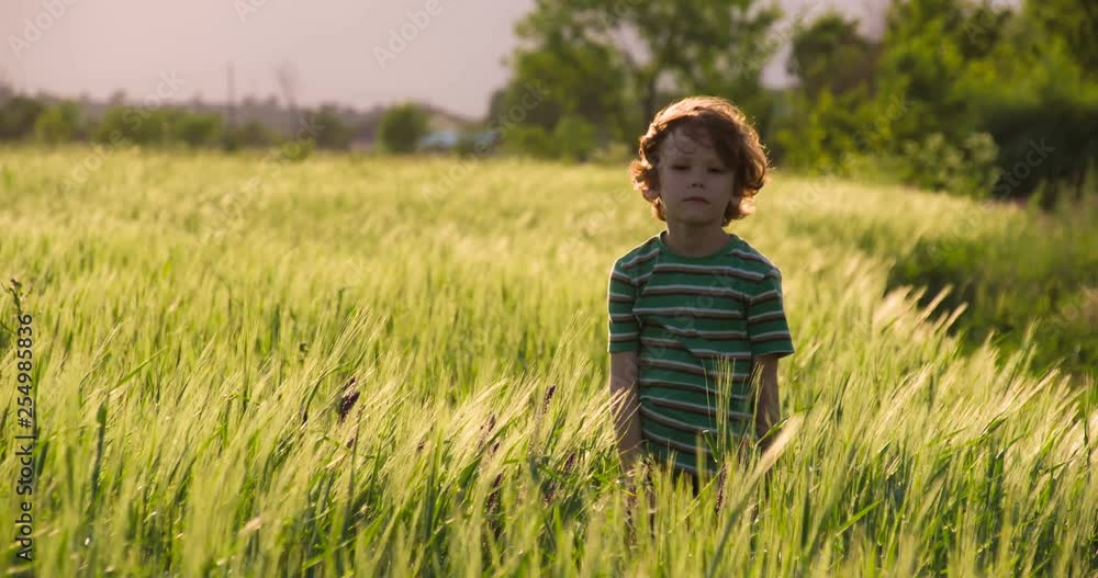 Little Dreamer. Funny boy with curly golden hair stands among the wheat field. he set up his hands and enjoying the wind Little Dreamer. Funny boy with curly golden hair stands among the wheat field. he set up his hands and enjoying the wind