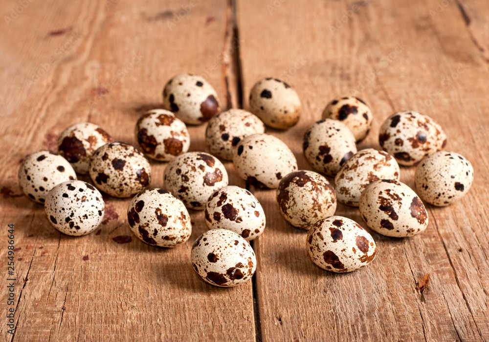 The Quail eggs