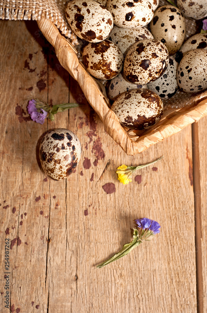 Quail eggs. Easter still life Quail eggs. Easter still life