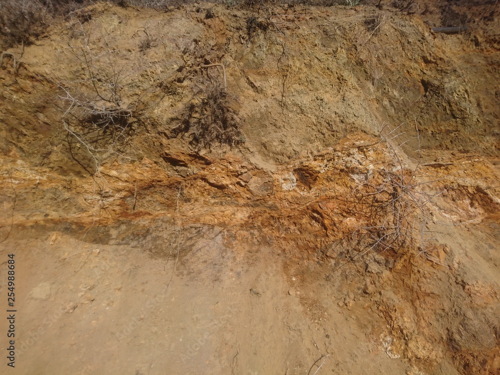 Fototapeta premium texture of stone