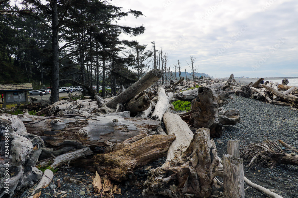 Battered driftwood and assorted ocean debris accumulated on the black sands of the Lost Coast backpacking trail. Battered driftwood and assorted ocean debris accumulated on the black sands of the Lost Coast backpacking trail.
