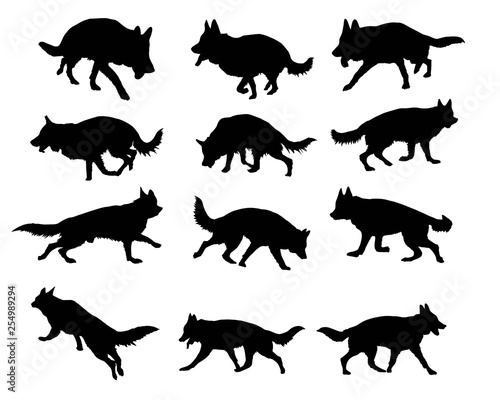 Hund Silhouetten