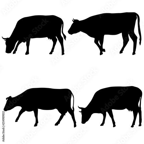 Obraz na plátně Black set silhouette of cash cow on white background