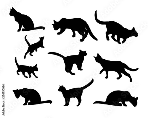 Katze Silhouette