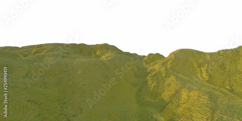Green grass hills lit by warm sunlight with the white background aerial top view from drone or plane. Copyspace for your text. 3d illustration render