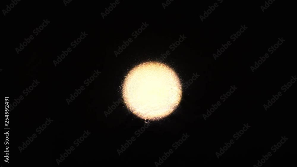 White glowing ball on a black background. 1920X1080 Full Hd. White glowing ball on a black background. 1920X1080 Full Hd.
