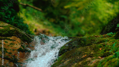 Fotografija MACRO, DOF: Pure stream water droplets splashing over the moss covered rocks