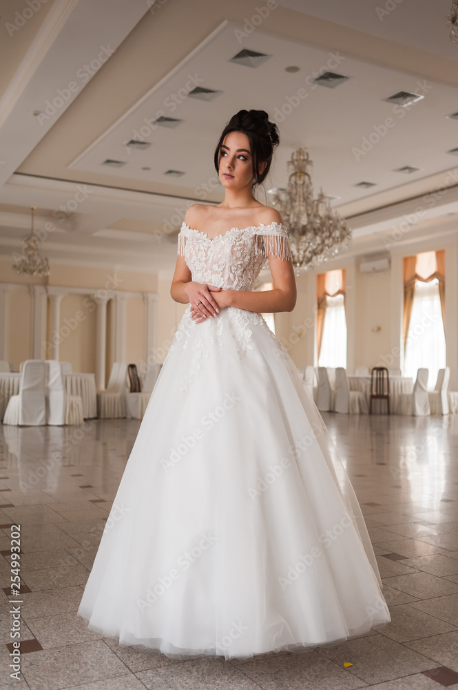 Fototapeta premium Beauty portrait of bride wearing fashion wedding dress with feathers with luxury delight make-up and hairstyle, studio indoor photo
