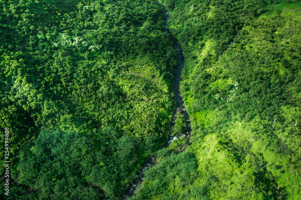 Fototapeta premium beautiful nature landscape in Kauai island Hawaii. View from helicopter,plane,top. Forest. Mountains. Ocean. View . Drone