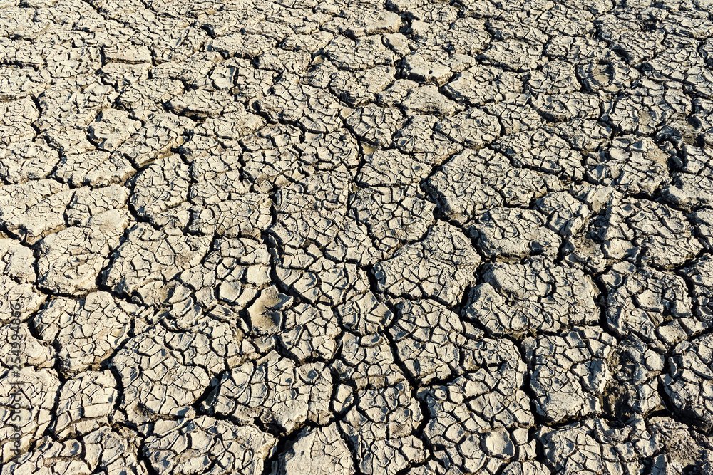 Dry Cracked Ground Texture. Drought Clay Background. Dry Cracked Ground Texture. Drought Clay Background.