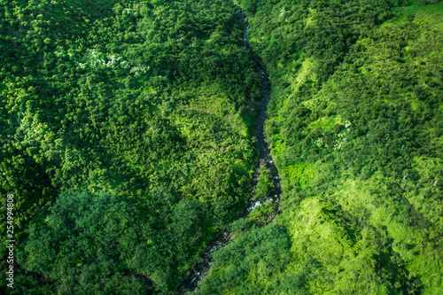 beautiful nature landscape in Kauai island Hawaii. View from helicopter,plane,top. Forest. Mountains. Ocean. View . Drone © Elena