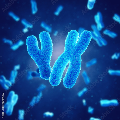 X and Y chromosomes , Genetic disorders and gene therapy © nobeastsofierce