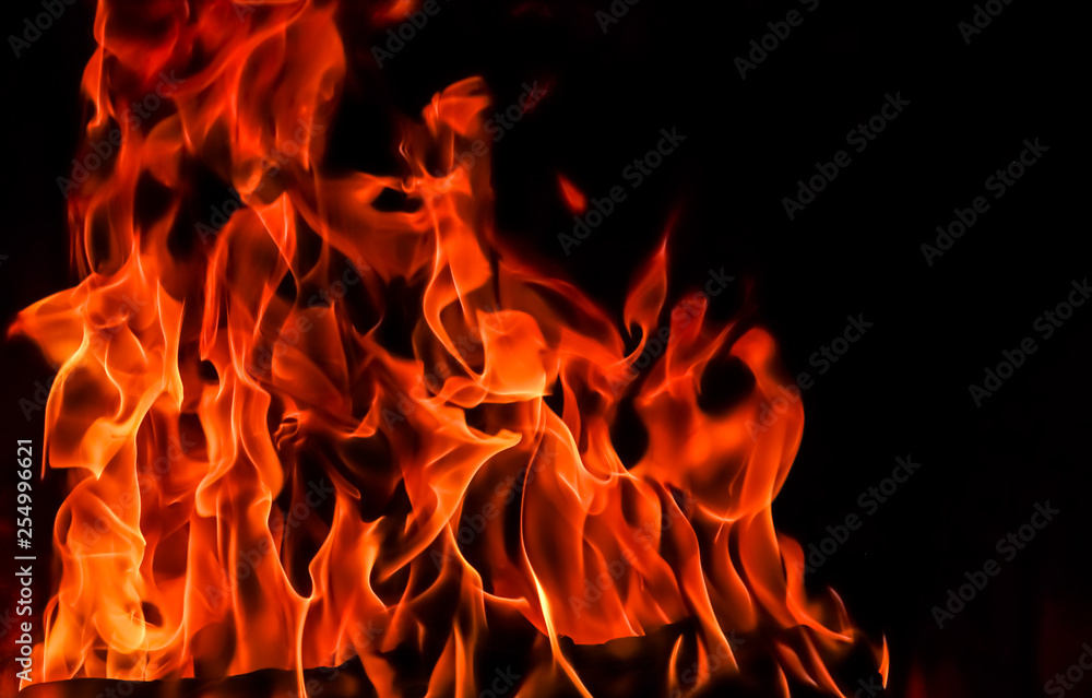 Flames of fire on a black background. The mystery of fire. Flames of fire on a black background. The mystery of fire.
