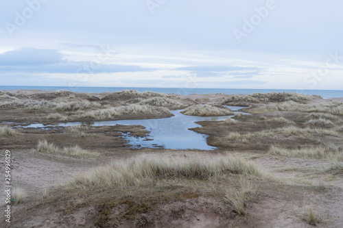 Beach dunes 