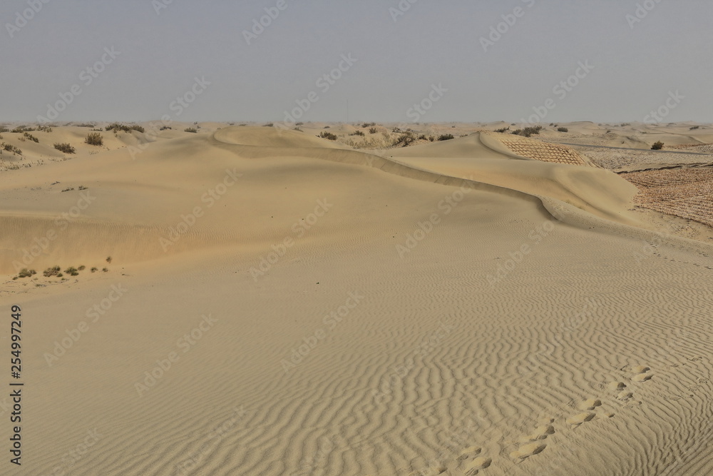 Shifting sand dunes-nitre bushes-Takla Makan Desert. Hotan prefecture-Xinjiang Uyghur region-China-0008 Shifting sand dunes-nitre bushes-Takla Makan Desert. Hotan prefecture-Xinjiang Uyghur region-China-0008