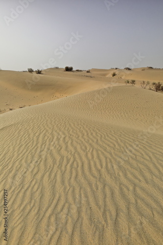 Shifting sand dunes-nitre bushes-Takla Makan Desert. Hotan prefecture-Xinjiang Uyghur region-China-0009