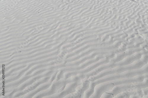 sand texture on the beach with a thin layer of water and a few seashells  