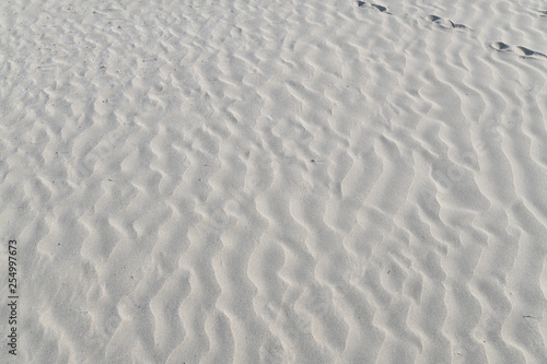 sand texture on the beach with a thin layer of water and a few seashells 