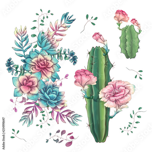 Succulents. Cacti hand drawn on a white background. Flowers in the desert. Vector drawing succulents