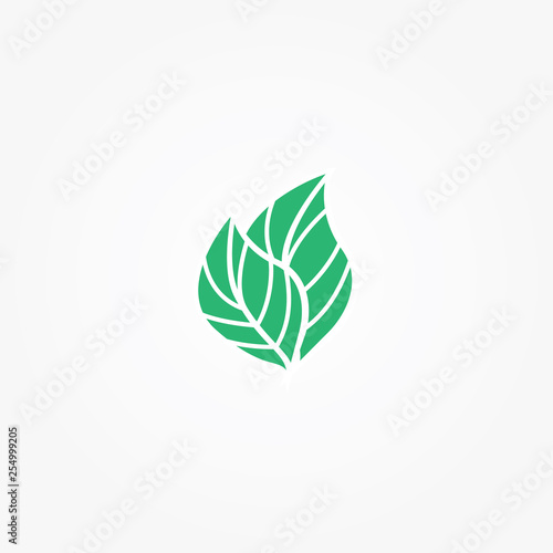 Feuilles