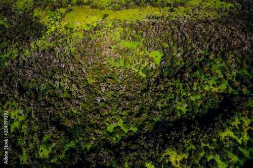 beautiful nature landscape in Kauai island Hawaii. View from helicopter,plane,top. Forest. Mountains. Ocean. View . Drone