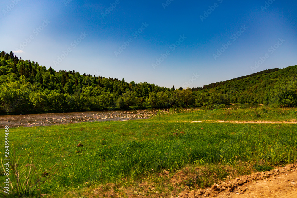Landscape view of the mountain river with green vegetation trees bushes and grass and blue sky