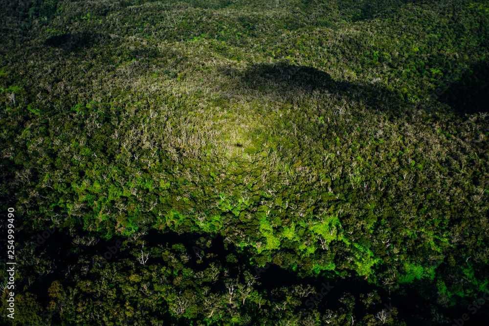 beautiful nature landscape in Kauai island Hawaii. View from helicopter,plane,top. Forest. Mountains. Ocean. View . Drone beautiful nature landscape in Kauai island Hawaii. View from helicopter,plane,top. Forest. Mountains. Ocean. View . Drone