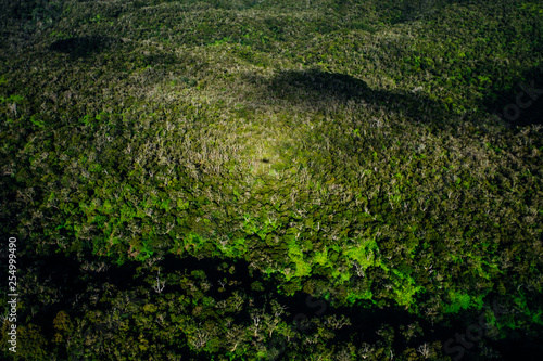 beautiful nature landscape in Kauai island Hawaii. View from helicopter,plane,top. Forest. Mountains. Ocean. View . Drone