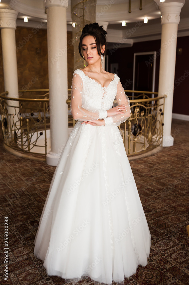 Fototapeta premium beautiful bride in chic dress. delicate bride with long hair. girl in lace dress with loop in studio Bride%27s morning in a stylish interior