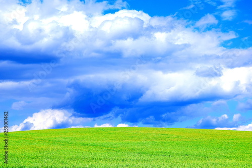 Blue Sky Clouds Field Bright Colorful Scenery Background Stock Photo