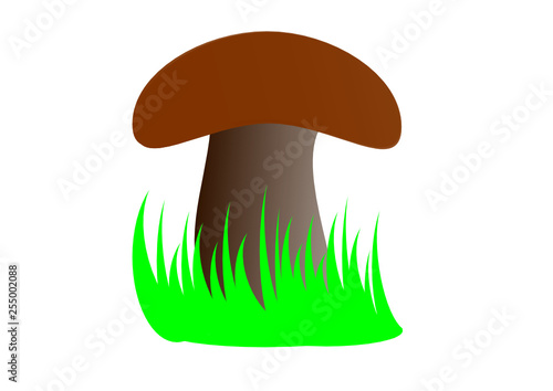 mushroom