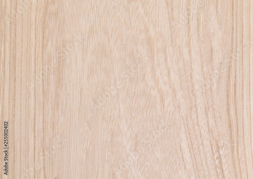 Tableau sur toile Light beige laminate with wood look with a textured surface
