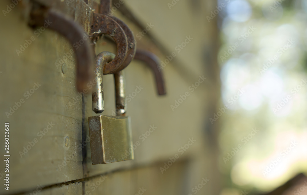 close up shallow focus old padlock on wooden door close up shallow focus old padlock on wooden door
