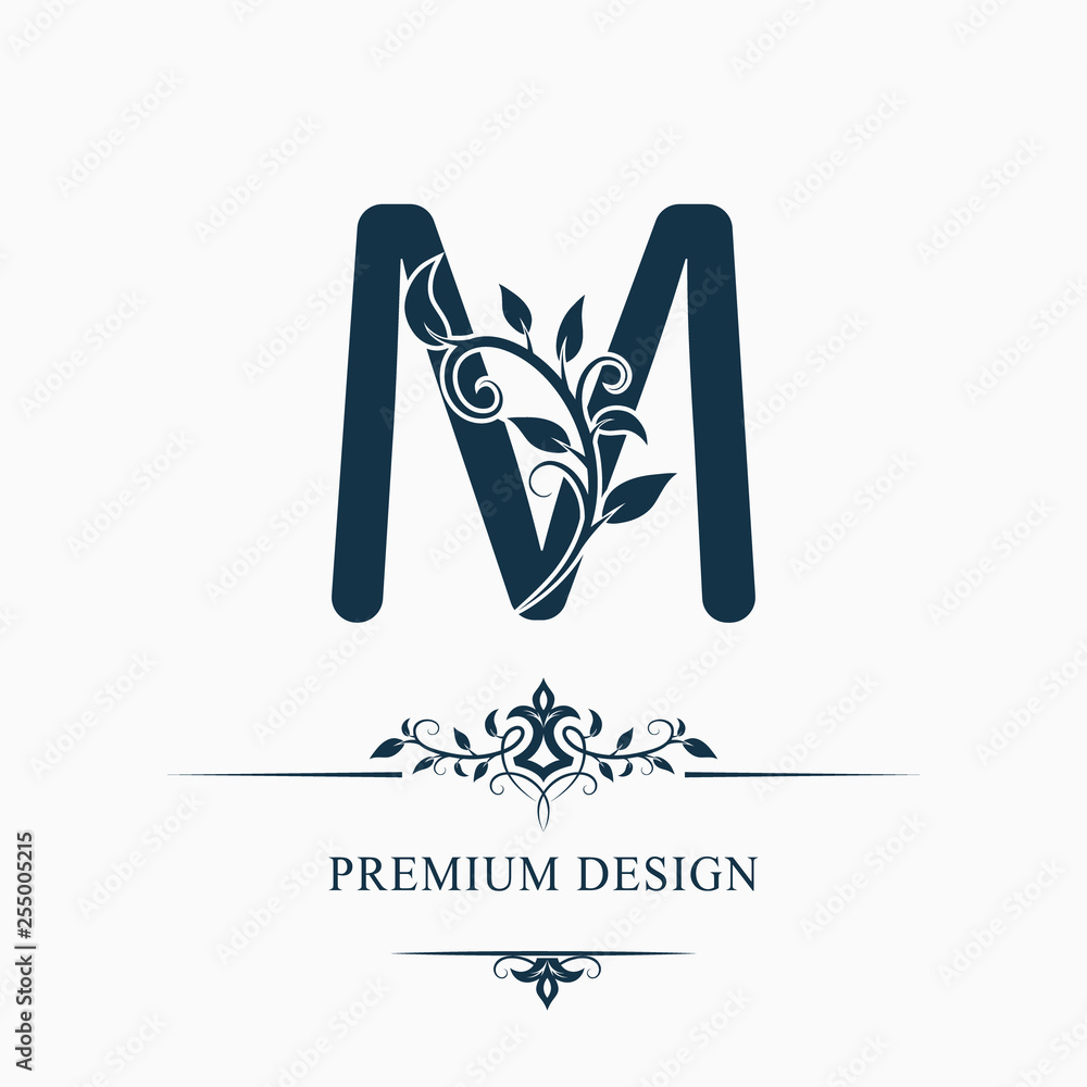 Letter m alphabet logo with luxury decorative Vector Image