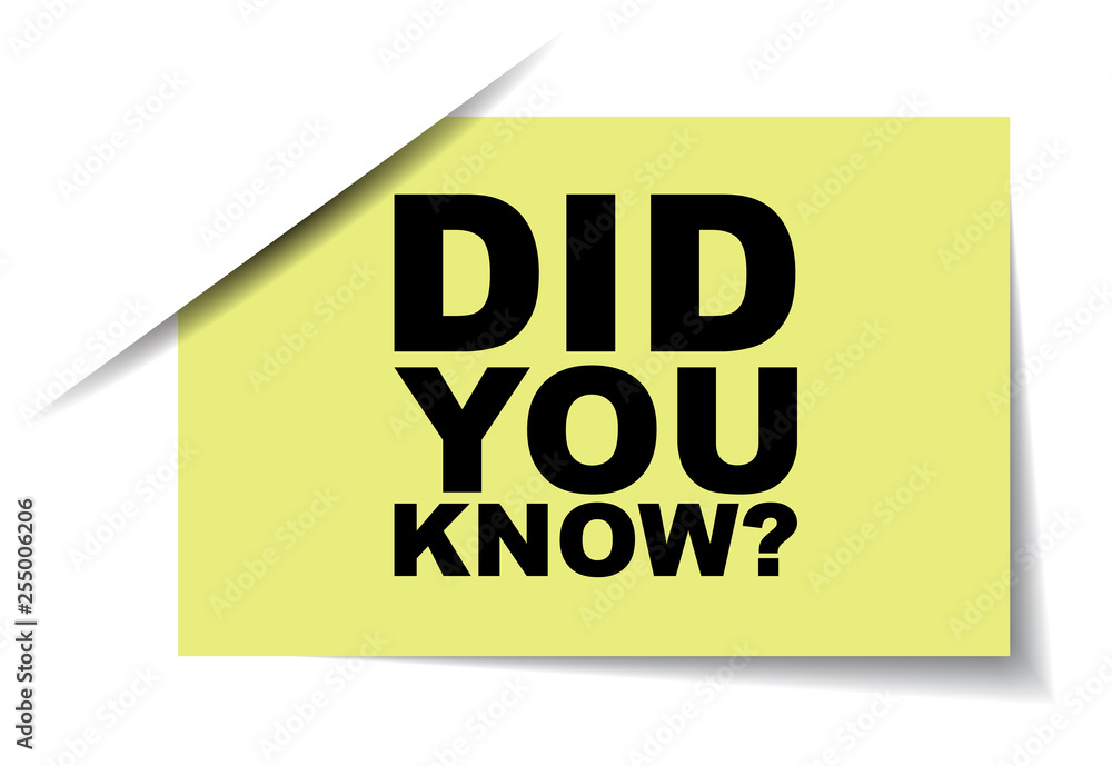 yellow vector banner did you know yellow vector banner did you know
