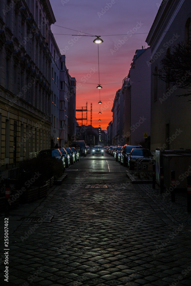 Vienna's Sunset