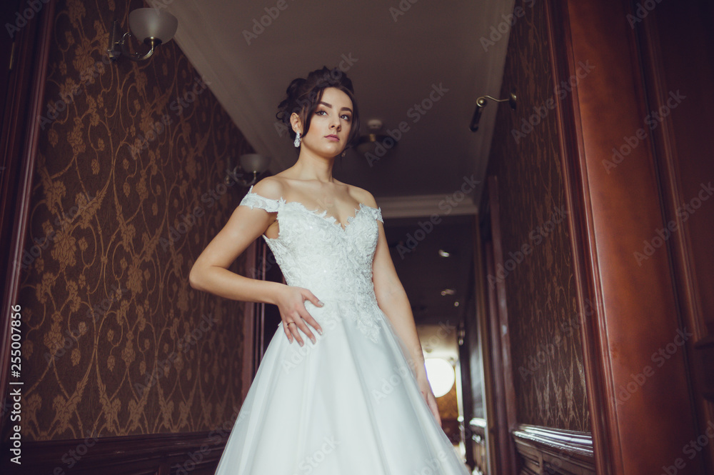 Beauty portrait of bride wearing fashion wedding dress with feathers with luxury delight make-up and hairstyle, studio indoor photo. Beauty portrait of bride wearing fashion wedding dress with feathers with luxury delight make-up and hairstyle, studio indoor photo.