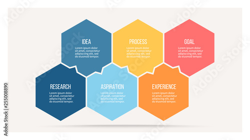 Business infographics with 6 steps, options, hexagons. Vector template.