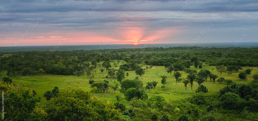 Fototapeta premium Llanero Landscapes