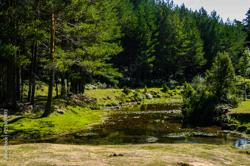 Spain. Nature in Burgos. Caastilla y Leon