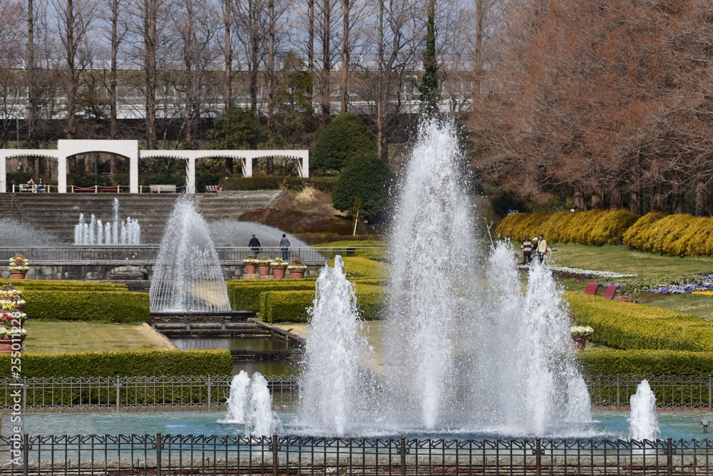 Fototapeta premium A scene of a park with a fountain.