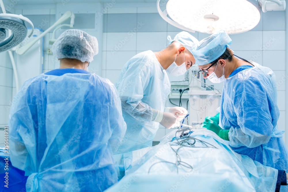 Surgeons operating on a patient under anesthesia in the clinic. Modern medical care Surgeons operating on a patient under anesthesia in the clinic. Modern medical care