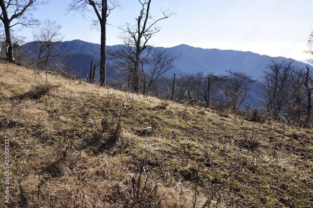 檜洞丸より望む塔ノ岳稜線 檜洞丸より望む塔ノ岳稜線
