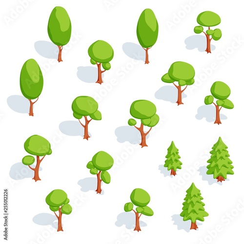 Set of isometric trees. Deciduous and spruce. Vector illustration.